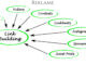 Lær om linkbuilding