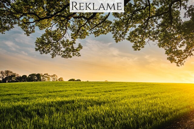 Hvorfor er droner blevet stort i landbruget?